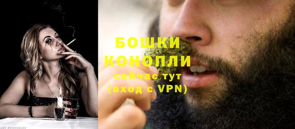 ешки Белокуриха