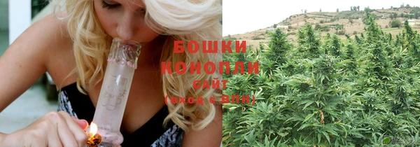 ешки Белокуриха