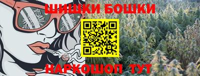 гидра Беслан