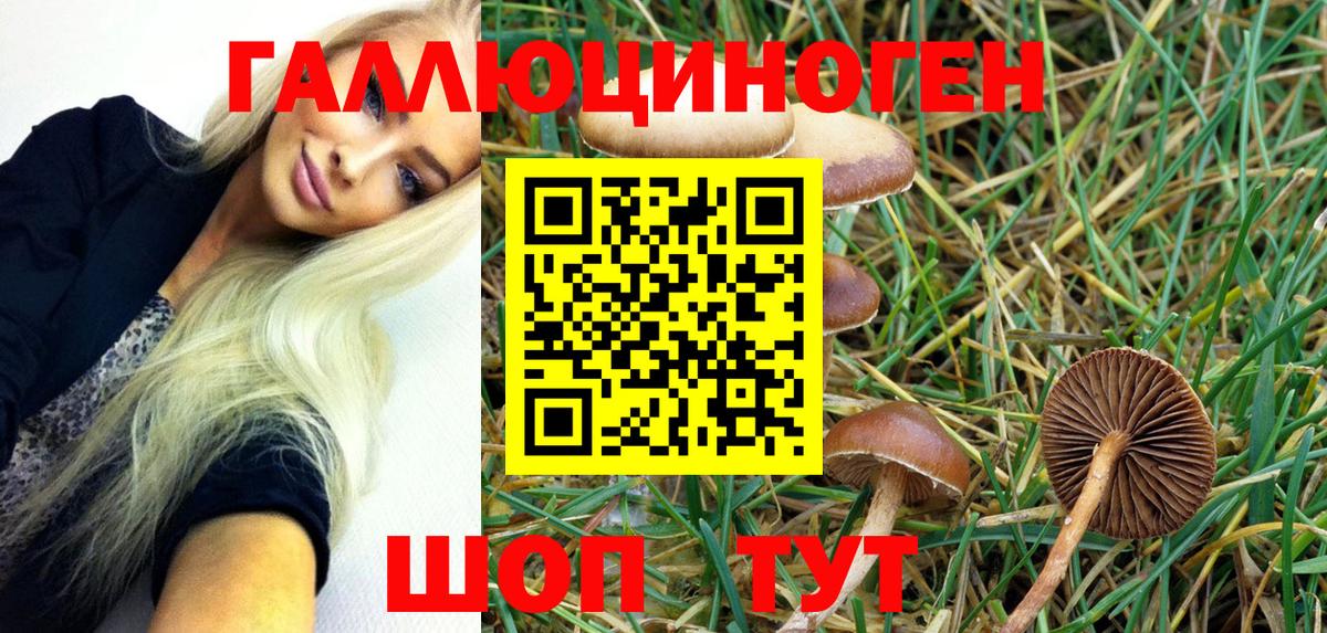 Псилоцибиновые грибы мухоморы Горячий Ключ