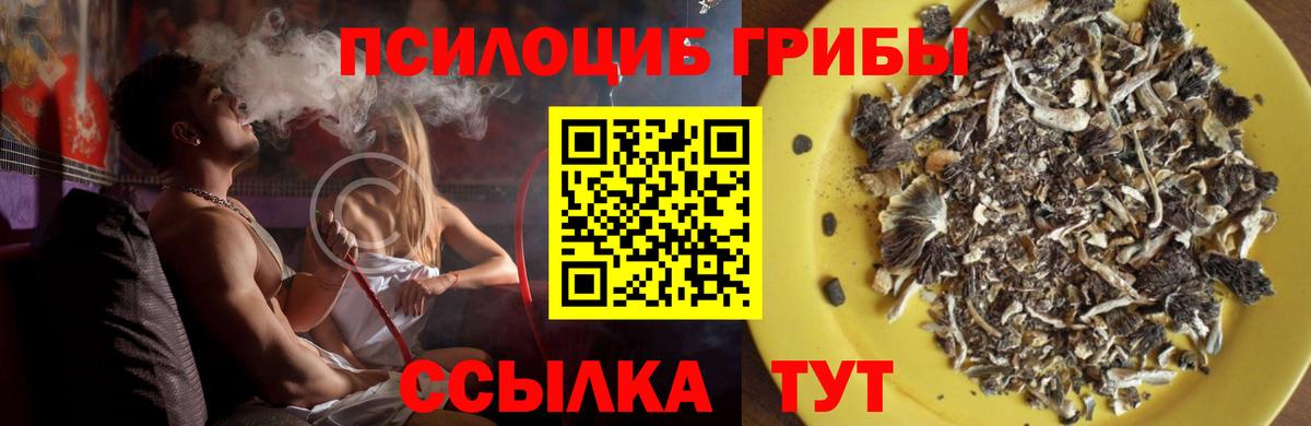 Псилоцибиновые грибы прущие грибы  Псилоцибиновые грибы GOLDEN TEACHER  Горячий Ключ  Вход с VPN 